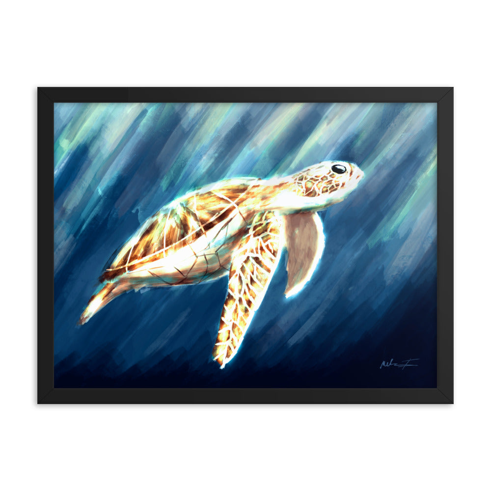 The magnificent Sea Turtle