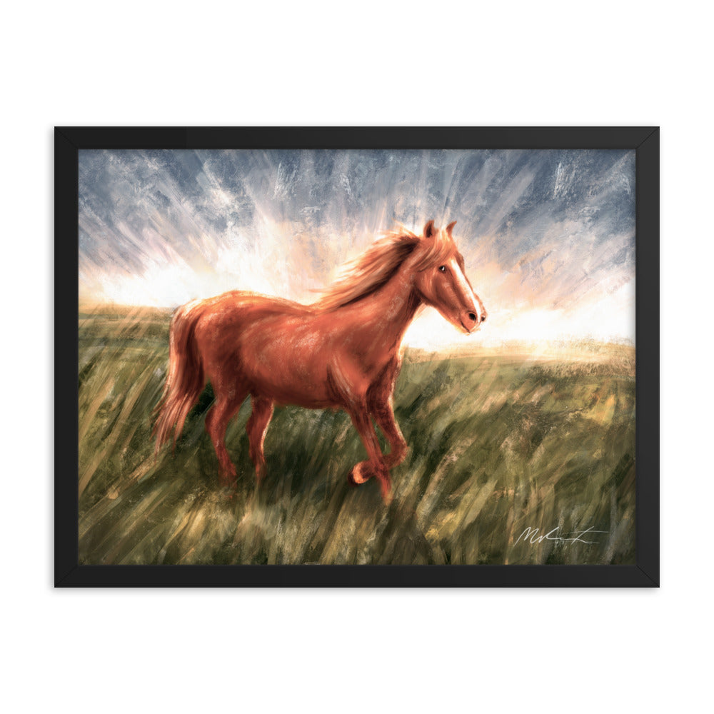 A Friendly Pony 🐴