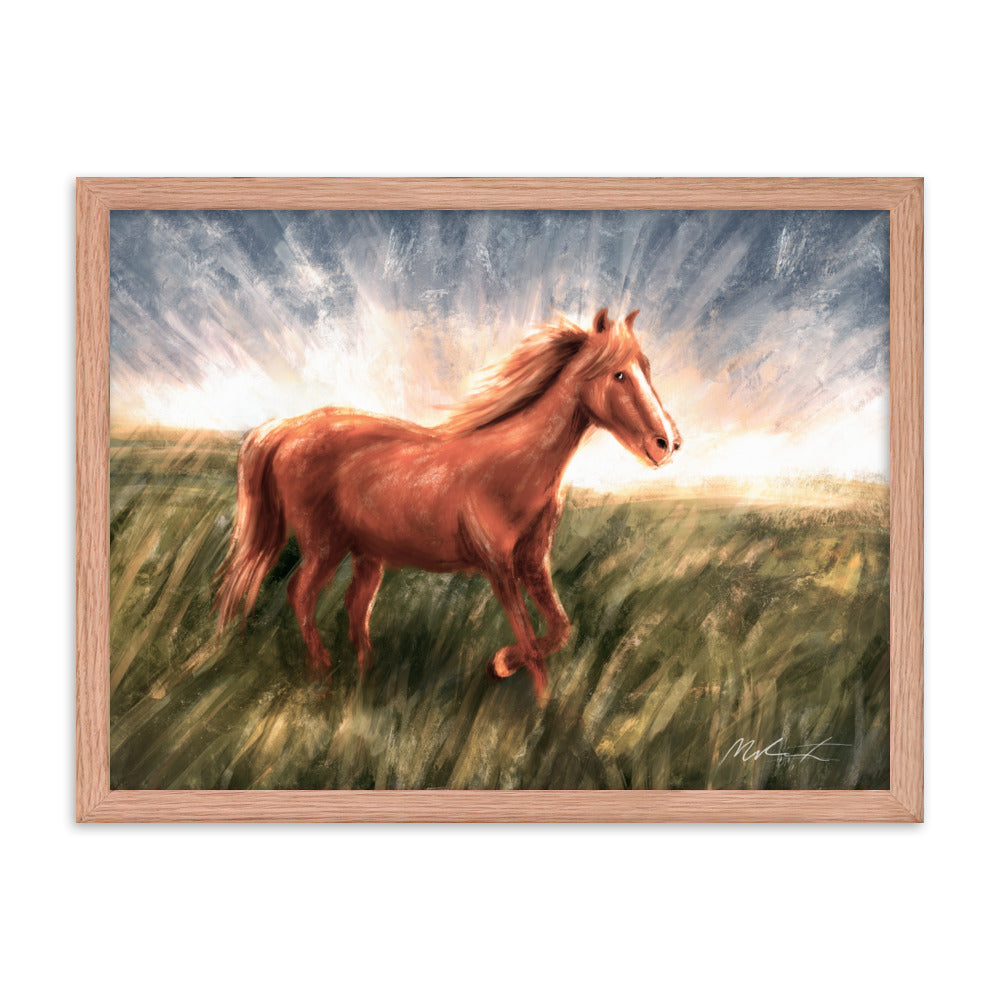 A Friendly Pony 🐴