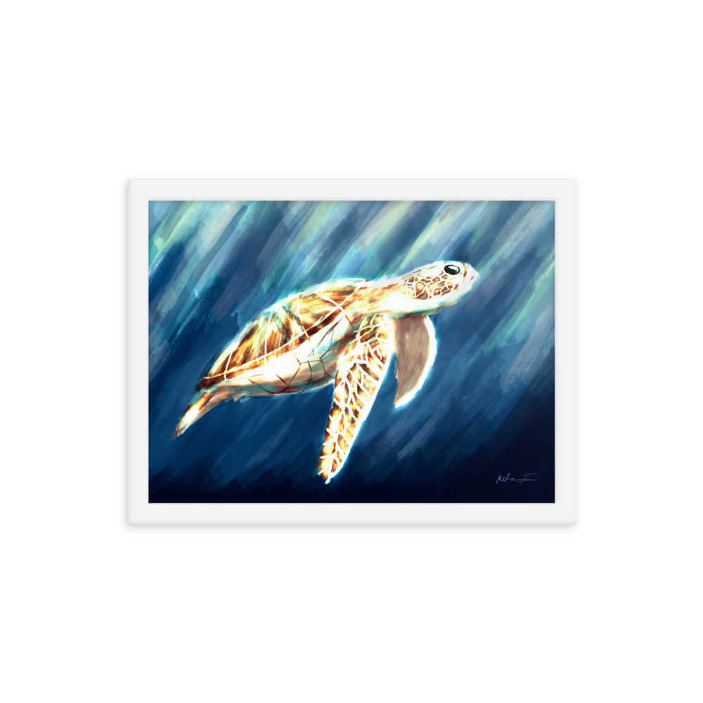 The magnificent Sea Turtle