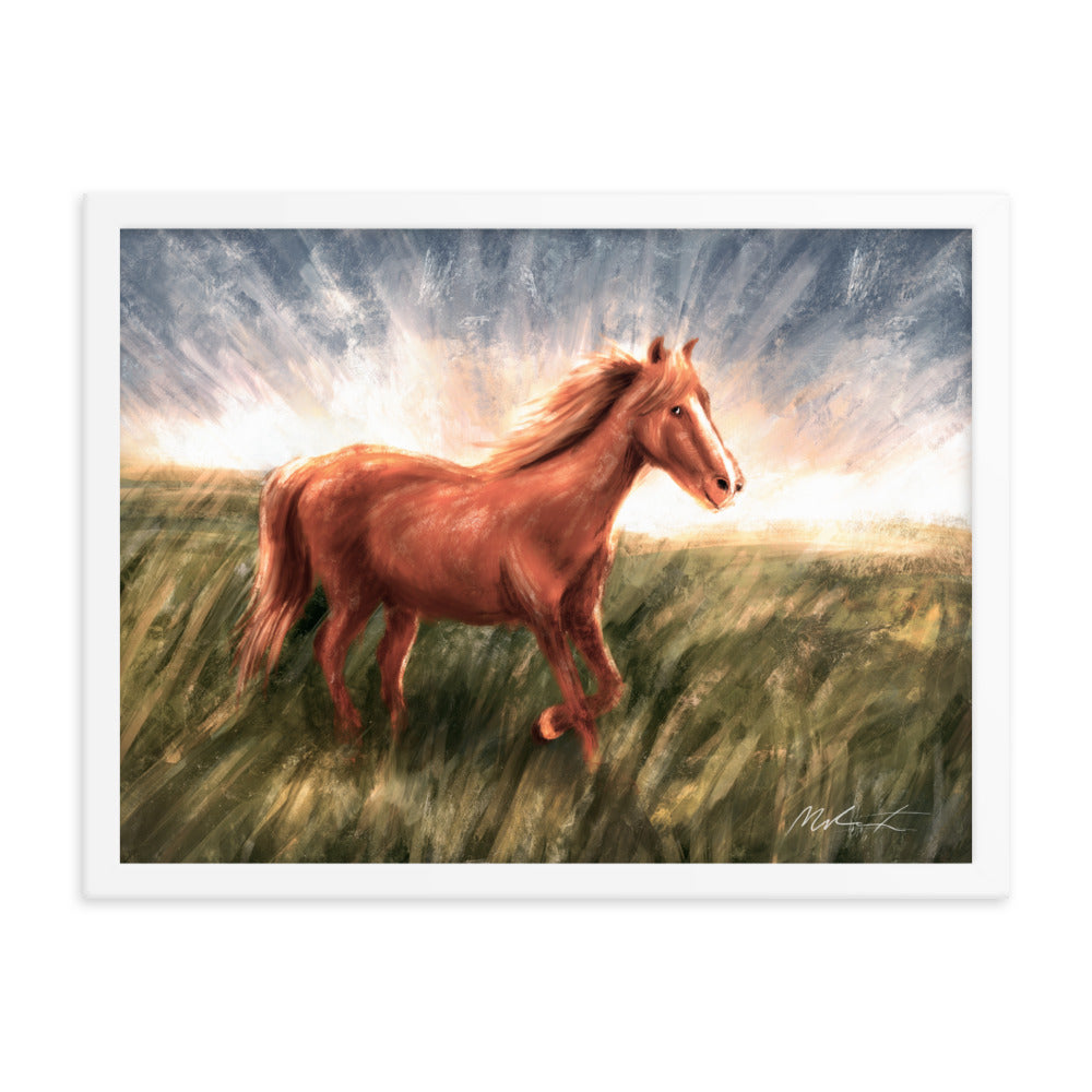 A Friendly Pony 🐴