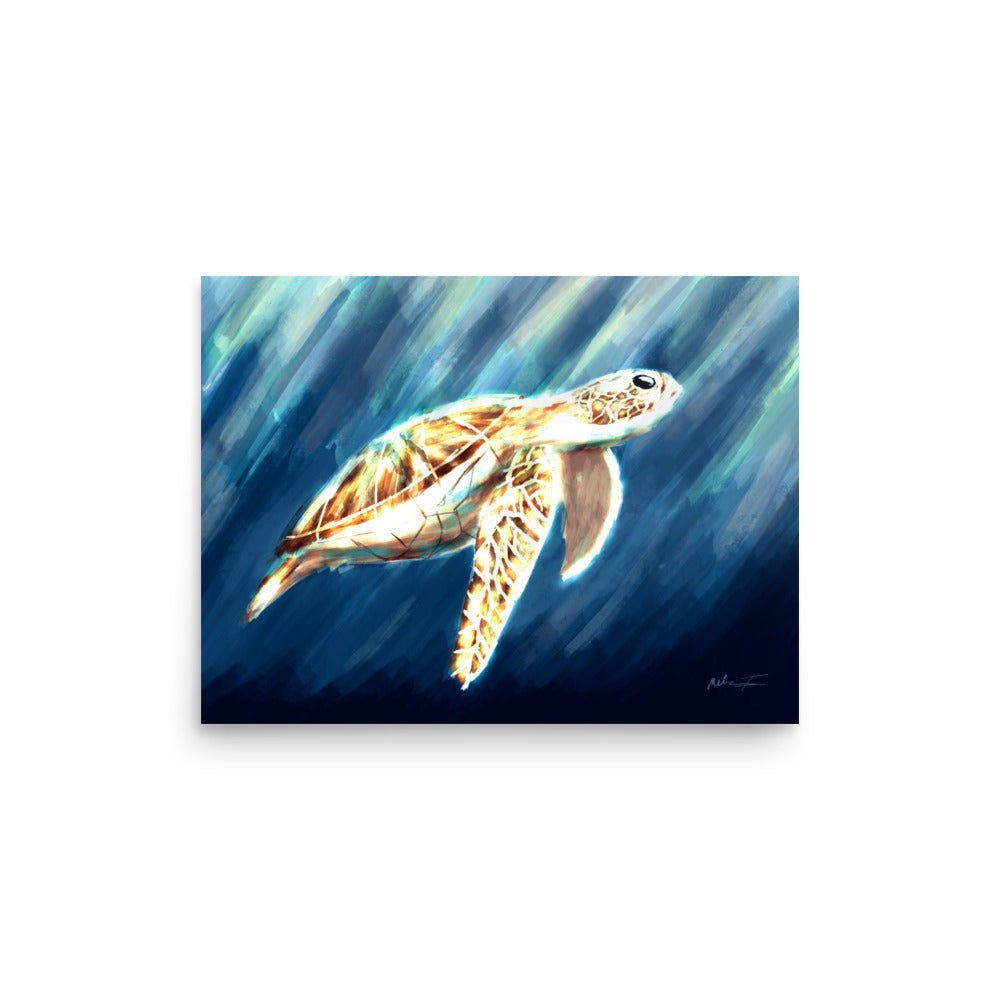 The magnificent Sea Turtle