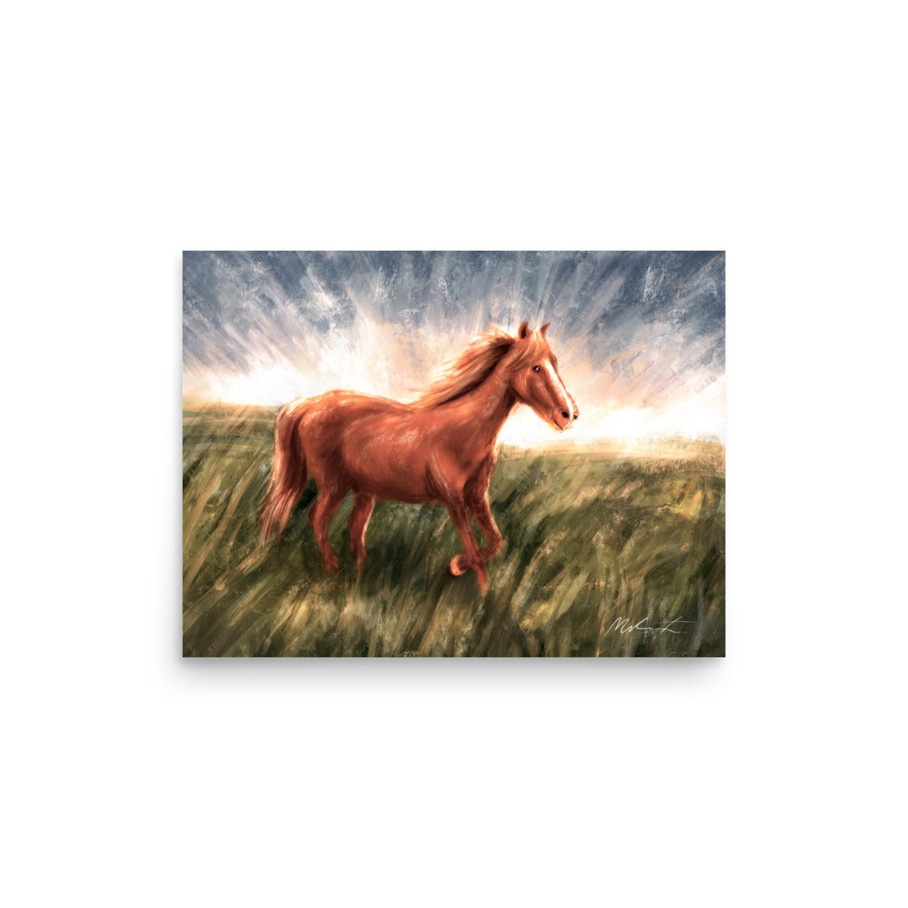 A Friendly Pony 🐴