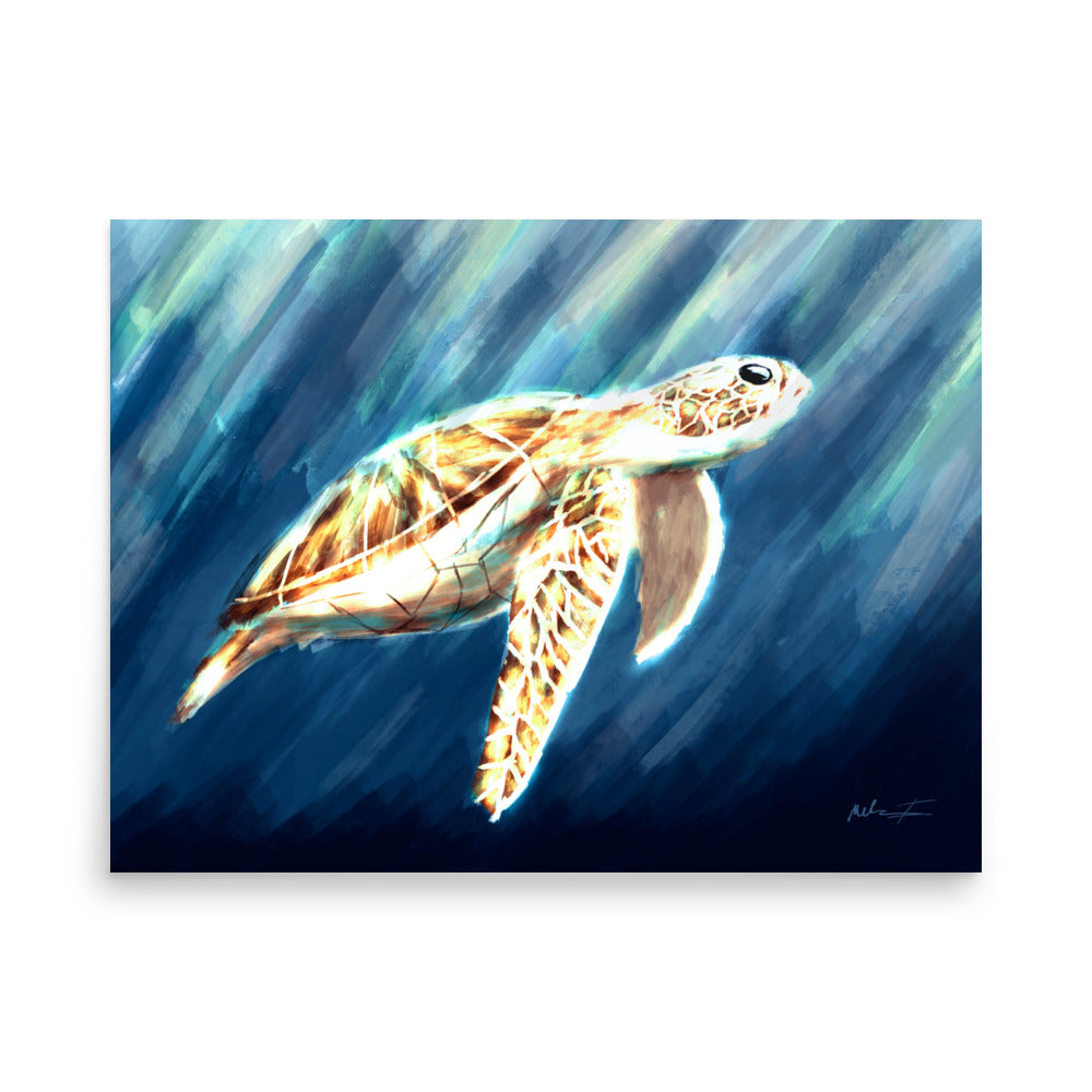 The magnificent Sea Turtle