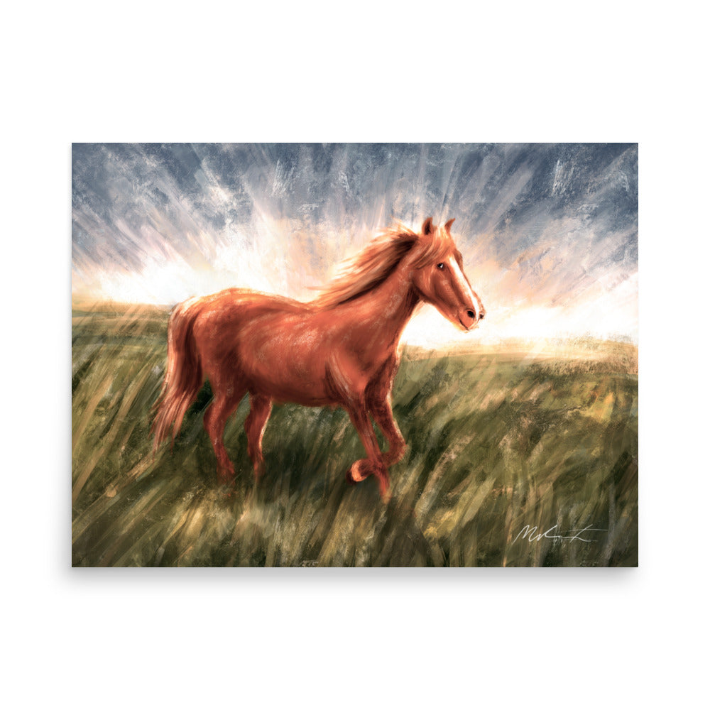 A Friendly Pony 🐴