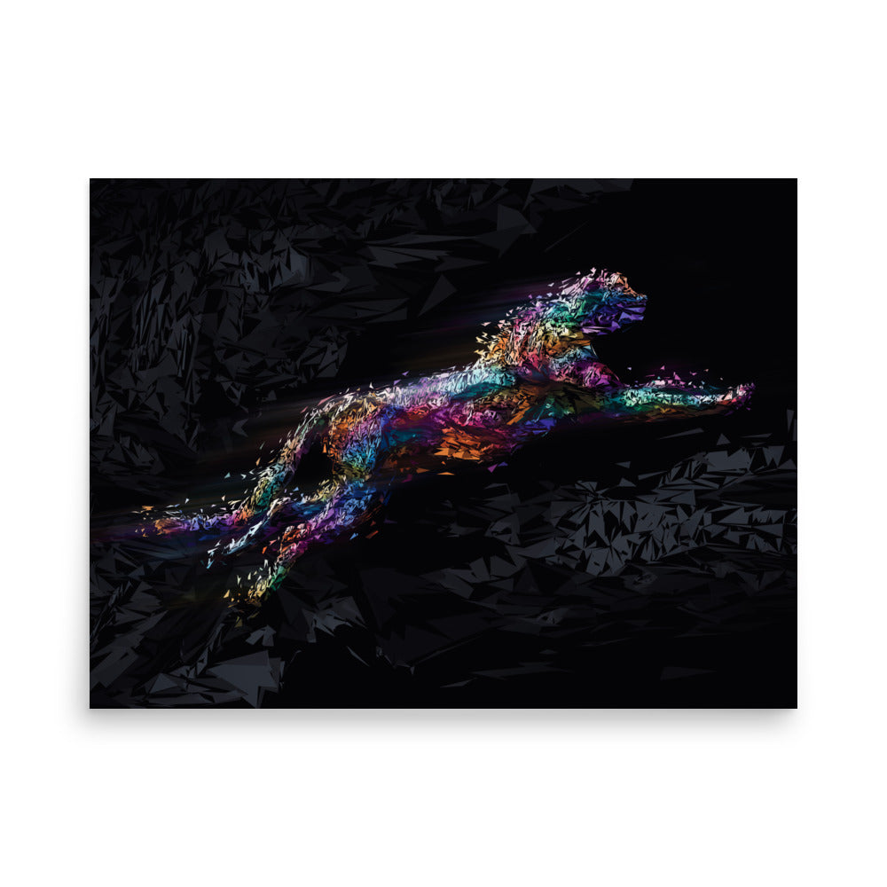 Fierce Colors Poster